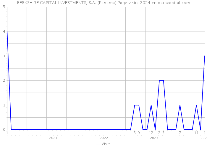 BERKSHIRE CAPITAL INVESTMENTS, S.A. (Panama) Page visits 2024 