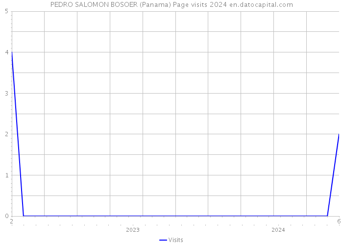 PEDRO SALOMON BOSOER (Panama) Page visits 2024 