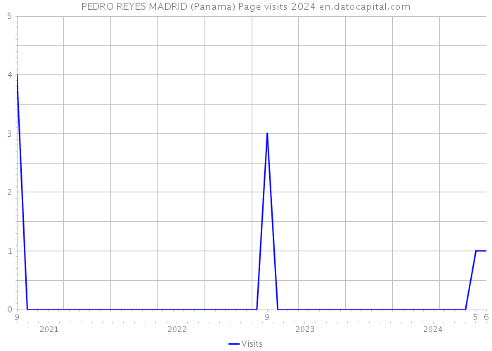 PEDRO REYES MADRID (Panama) Page visits 2024 