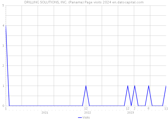 DRILLING SOLUTIONS, INC. (Panama) Page visits 2024 