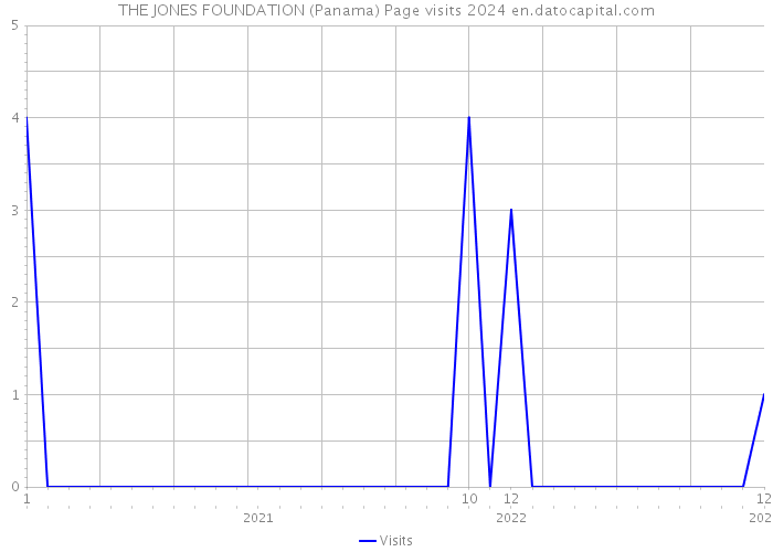 THE JONES FOUNDATION (Panama) Page visits 2024 