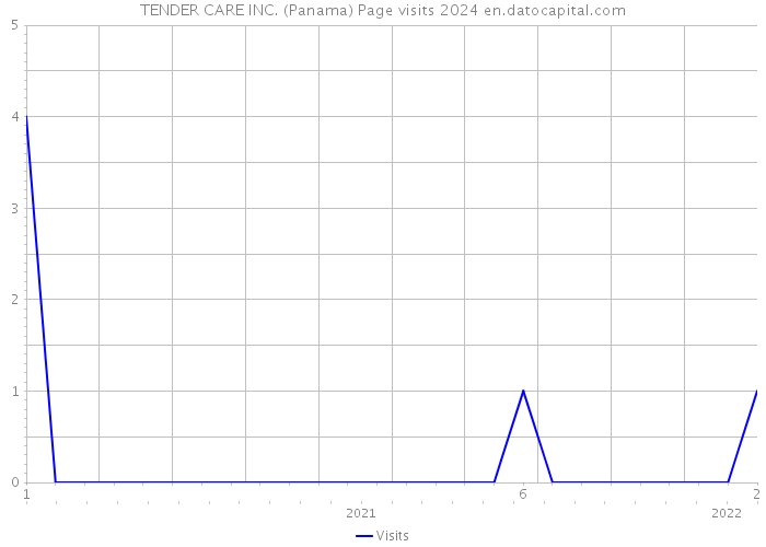 TENDER CARE INC. (Panama) Page visits 2024 
