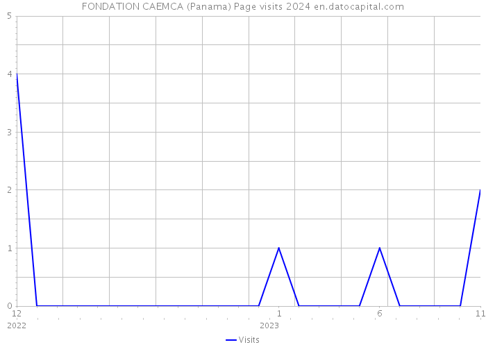 FONDATION CAEMCA (Panama) Page visits 2024 