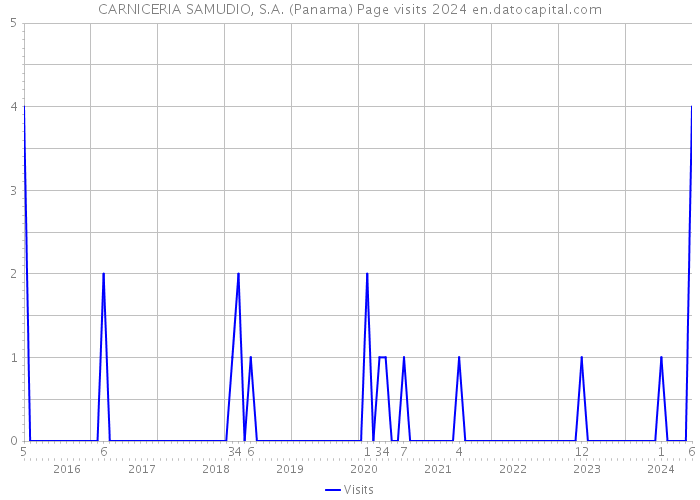 CARNICERIA SAMUDIO, S.A. (Panama) Page visits 2024 