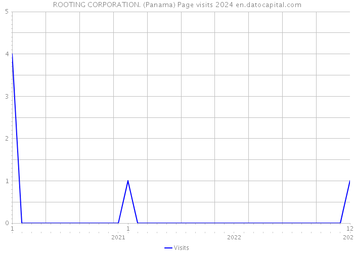 ROOTING CORPORATION. (Panama) Page visits 2024 
