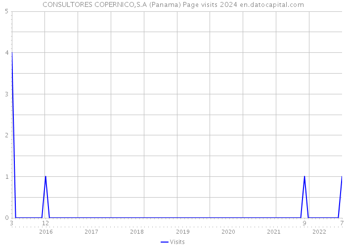 CONSULTORES COPERNICO,S.A (Panama) Page visits 2024 