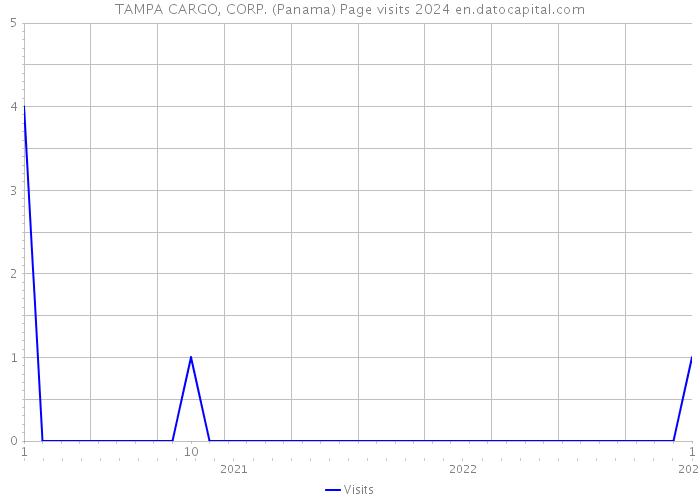 TAMPA CARGO, CORP. (Panama) Page visits 2024 