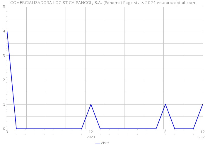COMERCIALIZADORA LOGISTICA PANCOL, S.A. (Panama) Page visits 2024 