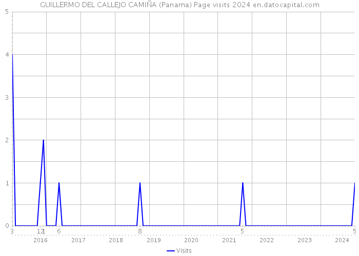 GUILLERMO DEL CALLEJO CAMIÑA (Panama) Page visits 2024 
