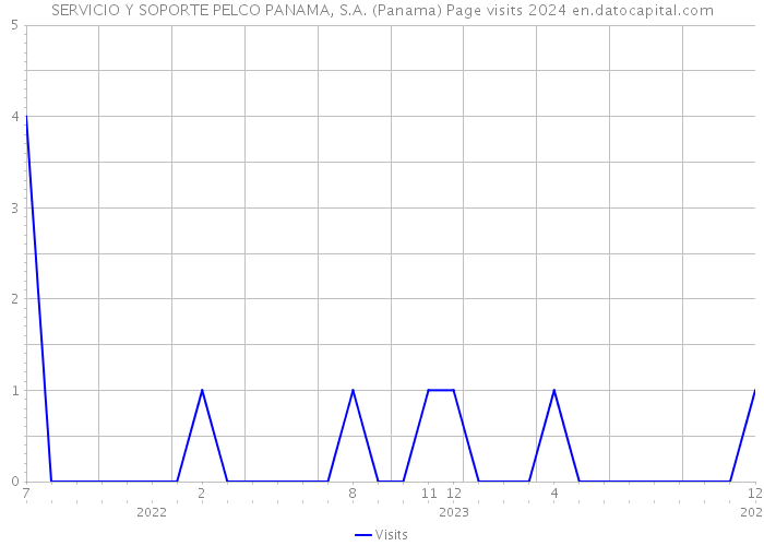 SERVICIO Y SOPORTE PELCO PANAMA, S.A. (Panama) Page visits 2024 