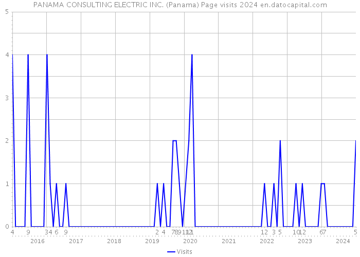 PANAMA CONSULTING ELECTRIC INC. (Panama) Page visits 2024 