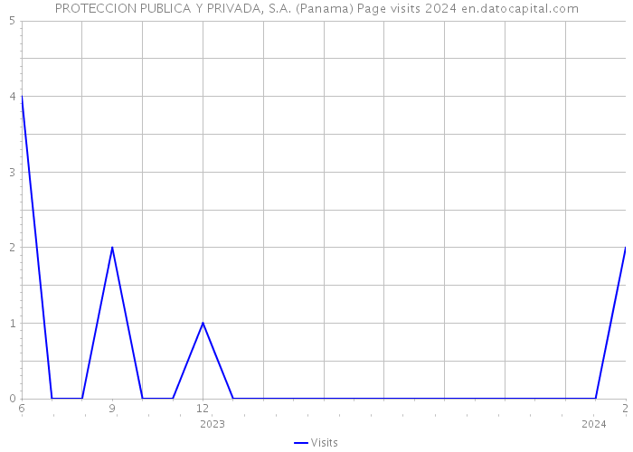 PROTECCION PUBLICA Y PRIVADA, S.A. (Panama) Page visits 2024 