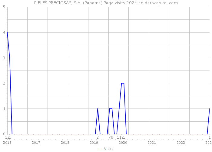 PIELES PRECIOSAS, S.A. (Panama) Page visits 2024 