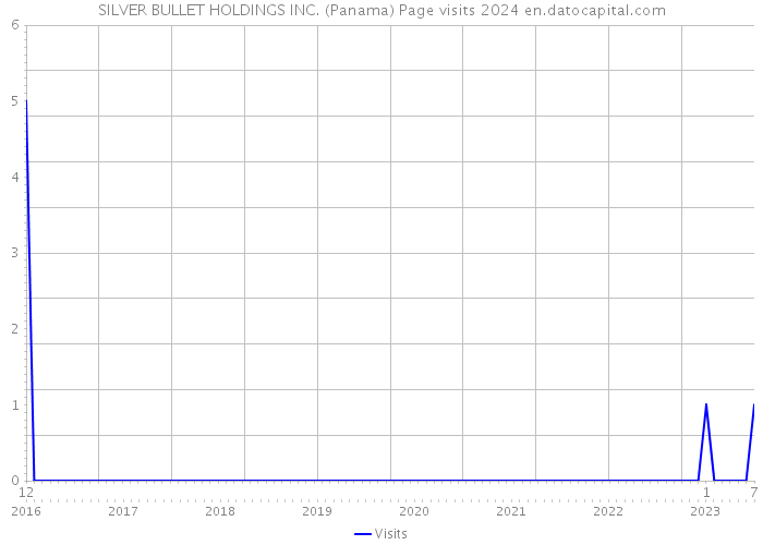SILVER BULLET HOLDINGS INC. (Panama) Page visits 2024 