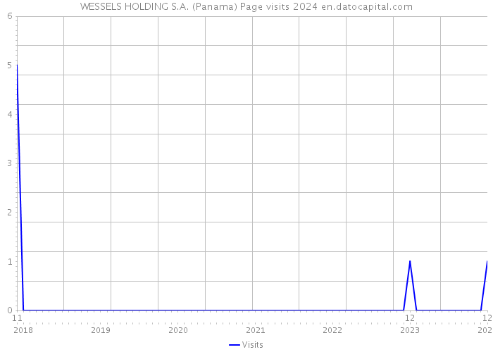 WESSELS HOLDING S.A. (Panama) Page visits 2024 