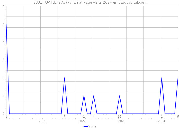 BLUE TURTLE, S.A. (Panama) Page visits 2024 