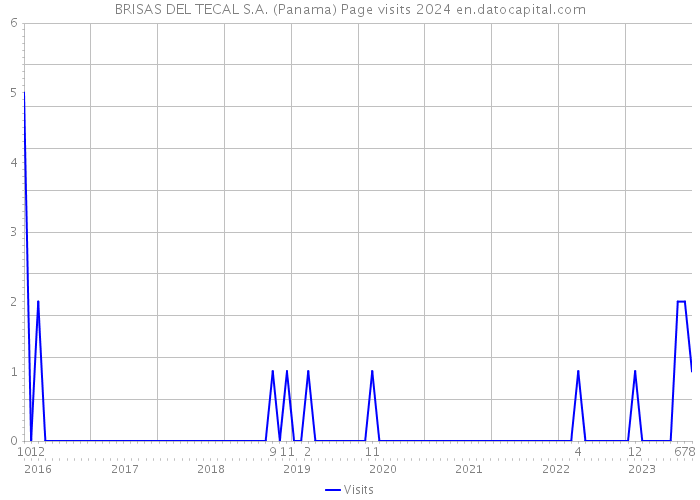 BRISAS DEL TECAL S.A. (Panama) Page visits 2024 