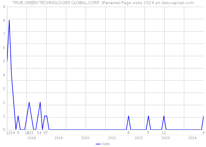 TRUE GREEN TECHNOLOGIES GLOBAL,CORP. (Panama) Page visits 2024 