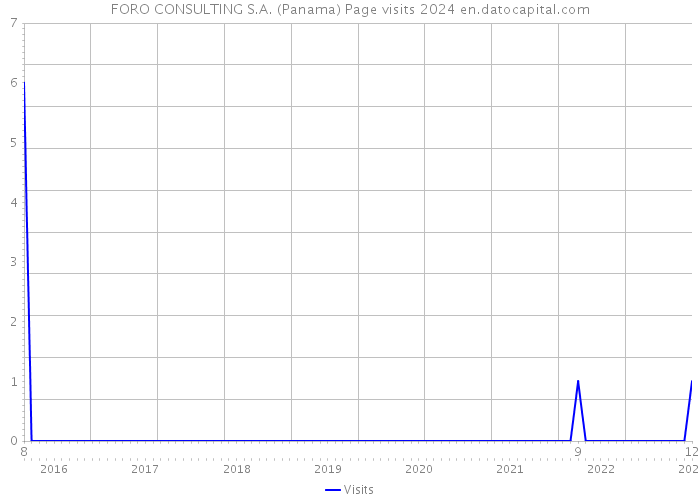 FORO CONSULTING S.A. (Panama) Page visits 2024 