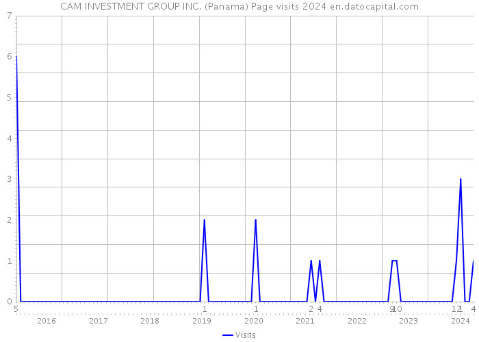 CAM INVESTMENT GROUP INC. (Panama) Page visits 2024 