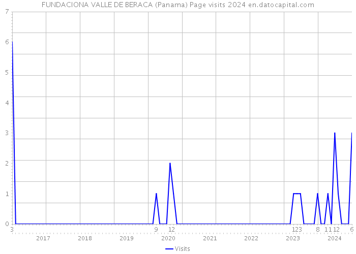FUNDACIONA VALLE DE BERACA (Panama) Page visits 2024 