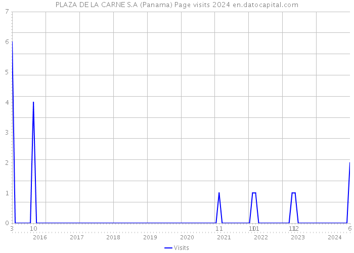 PLAZA DE LA CARNE S.A (Panama) Page visits 2024 