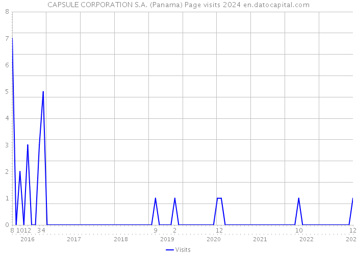 CAPSULE CORPORATION S.A. (Panama) Page visits 2024 