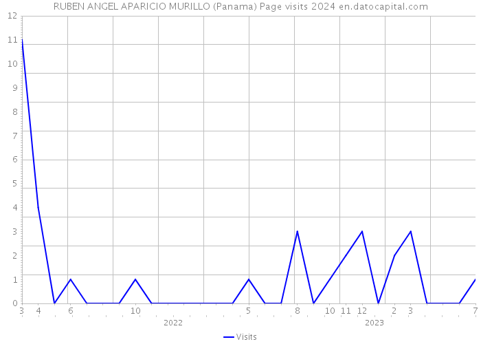 RUBEN ANGEL APARICIO MURILLO (Panama) Page visits 2024 