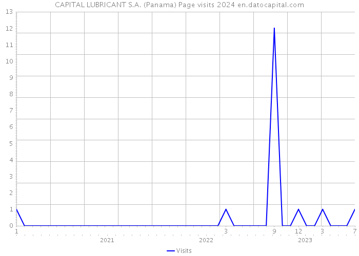 CAPITAL LUBRICANT S.A. (Panama) Page visits 2024 