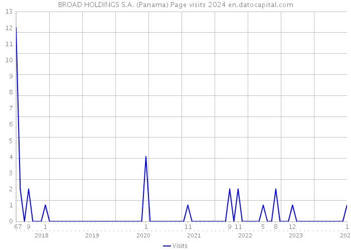BROAD HOLDINGS S.A. (Panama) Page visits 2024 