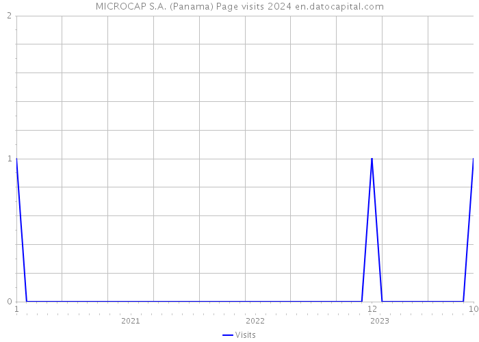 MICROCAP S.A. (Panama) Page visits 2024 