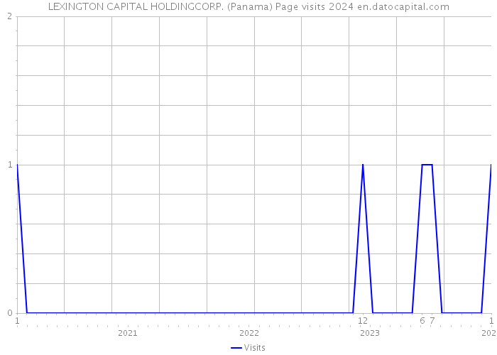 LEXINGTON CAPITAL HOLDINGCORP. (Panama) Page visits 2024 