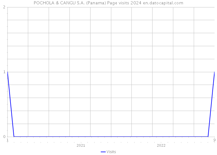 POCHOLA & CANGU S.A. (Panama) Page visits 2024 