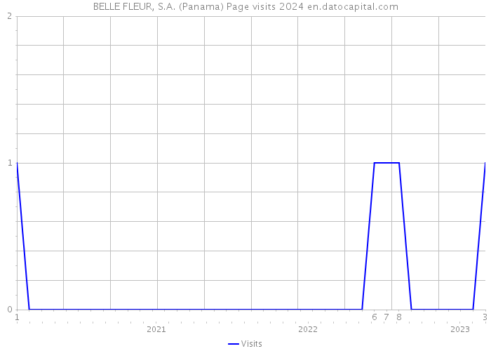BELLE FLEUR, S.A. (Panama) Page visits 2024 