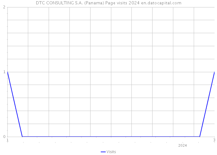 DTC CONSULTING S.A. (Panama) Page visits 2024 