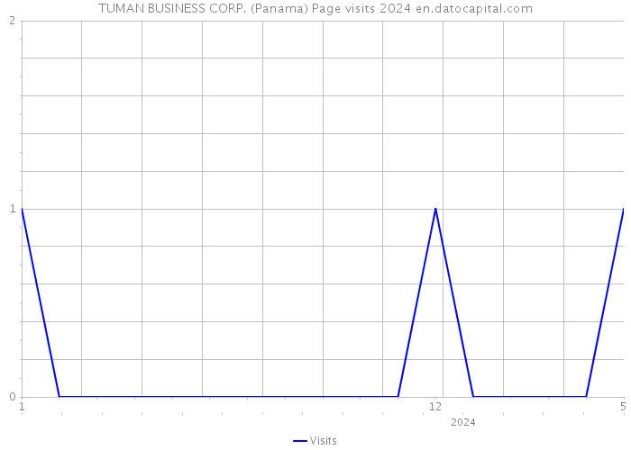 TUMAN BUSINESS CORP. (Panama) Page visits 2024 