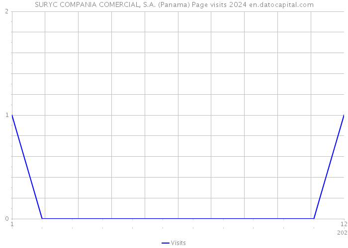 SURYC COMPANIA COMERCIAL, S.A. (Panama) Page visits 2024 