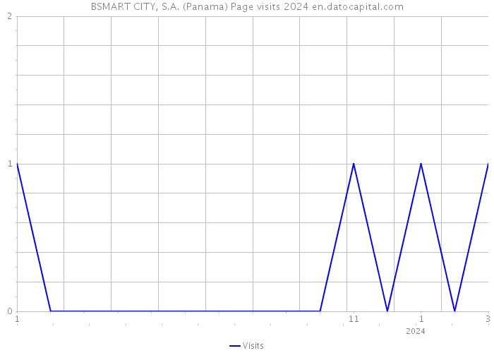 BSMART CITY, S.A. (Panama) Page visits 2024 