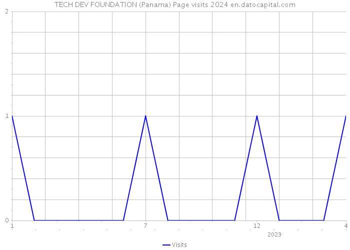 TECH DEV FOUNDATION (Panama) Page visits 2024 