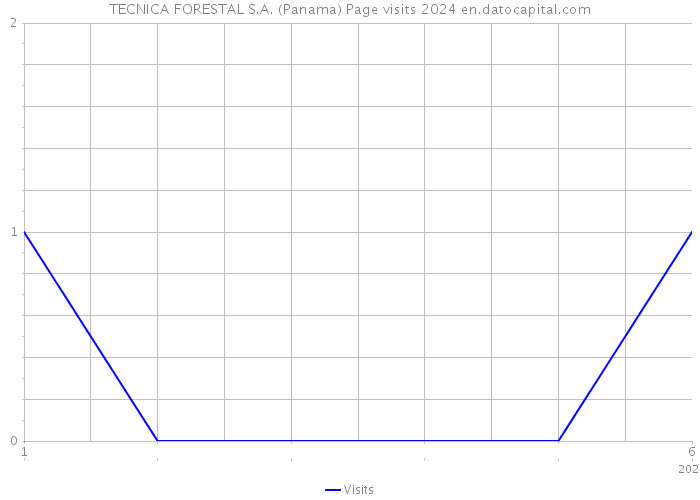 TECNICA FORESTAL S.A. (Panama) Page visits 2024 