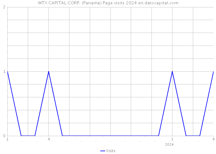 WTX CAPITAL CORP. (Panama) Page visits 2024 