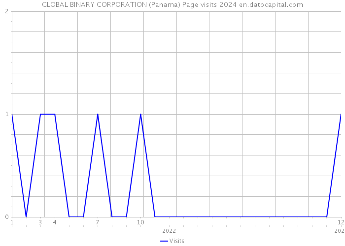 GLOBAL BINARY CORPORATION (Panama) Page visits 2024 