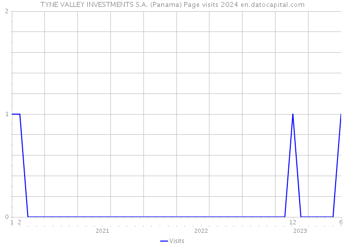 TYNE VALLEY INVESTMENTS S.A. (Panama) Page visits 2024 