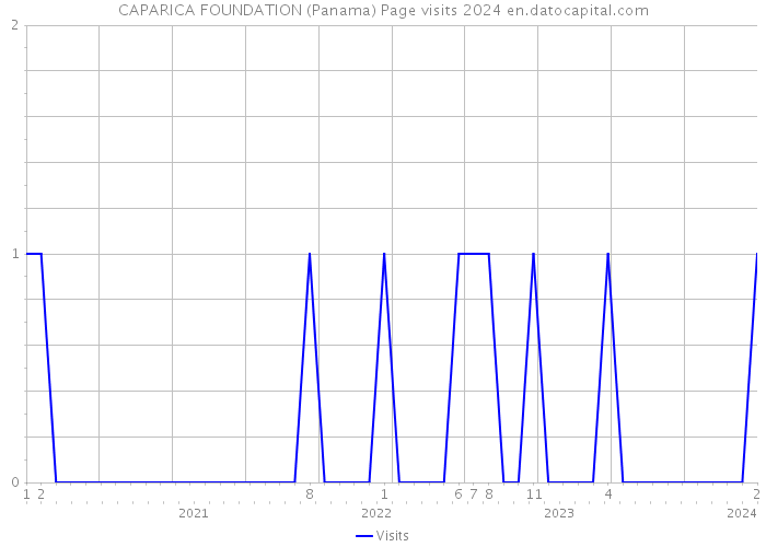 CAPARICA FOUNDATION (Panama) Page visits 2024 
