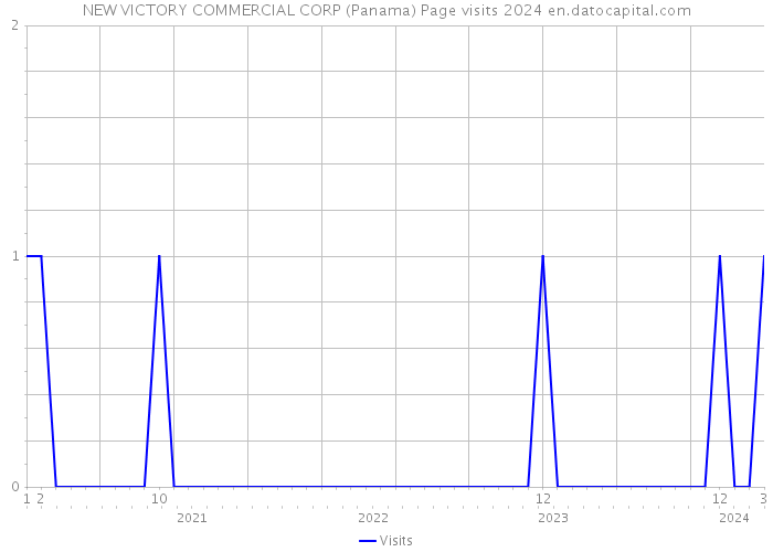 NEW VICTORY COMMERCIAL CORP (Panama) Page visits 2024 