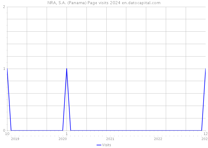 NRA, S.A. (Panama) Page visits 2024 