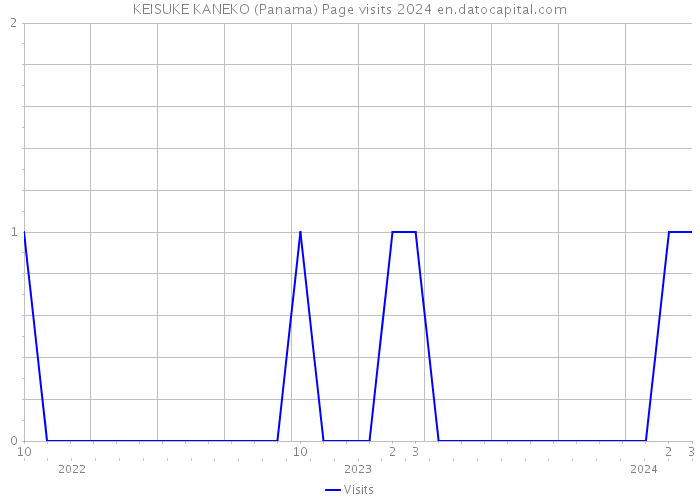 KEISUKE KANEKO (Panama) Page visits 2024 