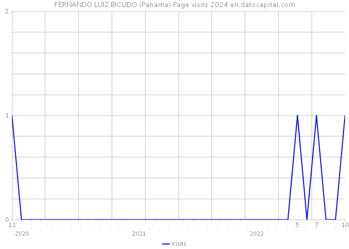 FERNANDO LUIZ BICUDO (Panama) Page visits 2024 