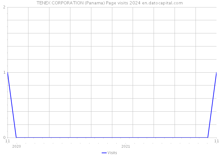 TENEX CORPORATION (Panama) Page visits 2024 