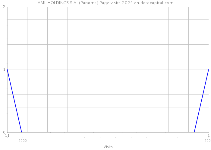 AML HOLDINGS S.A. (Panama) Page visits 2024 